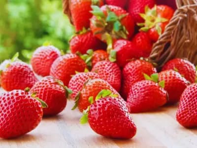 Frutilla